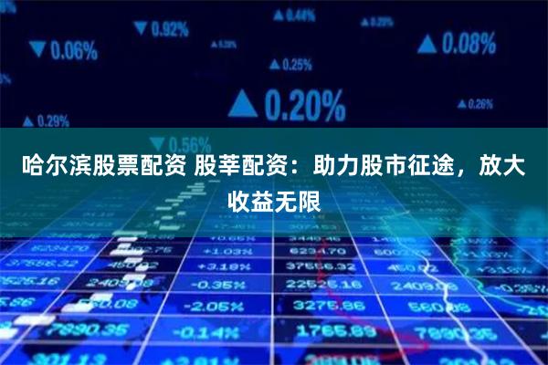 哈尔滨股票配资 股莘配资：助力股市征途，放大收益无限